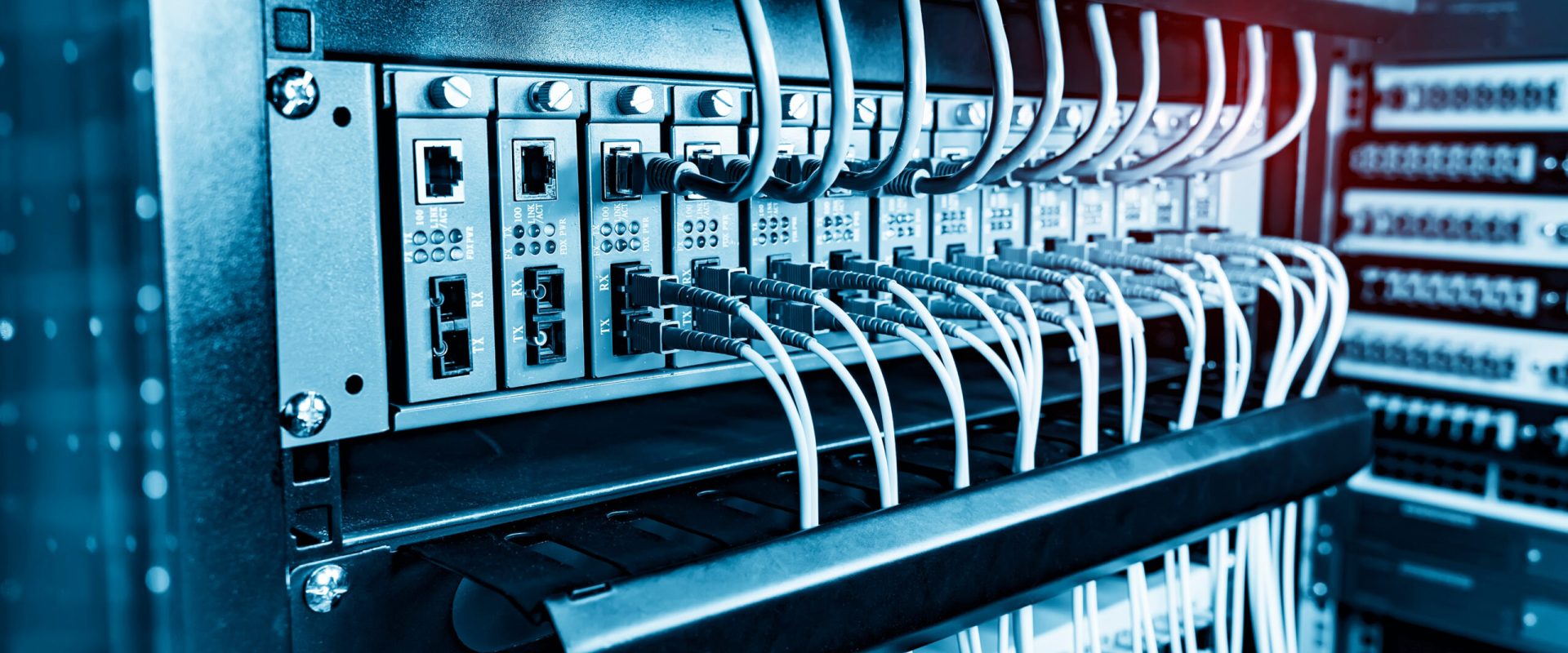 Fiber Optic cables connected to optic ports and UTP, Network cables connected to ethernet ports